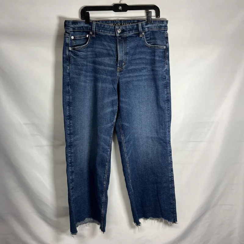 AMERICAN EAGLE WOMEN'S JEANS 14 British Gentlewoman Style